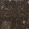 Anti-NR2C2 Antibody