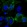 Anti-GPC3 Antibody