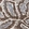 Anti-PLIN3 Antibody