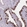 Anti-AK1 Antibody