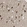 Anti-TAF5 Antibody