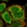 Anti-ZNF445 Antibody