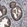 Anti-USP10 Antibody