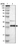 Anti-GTF2F2 Antibody