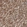 Anti-GLYCTK Antibody