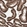 Anti-GLYCTK Antibody