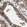 Anti-SLC27A3 Antibody