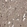Anti-RAB7A Antibody
