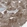 Anti-RAB7A Antibody