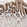 Anti-SULT1C2 Antibody