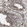 Anti-CD81 Antibody