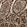 Anti-ZSCAN30 Antibody