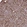 Anti-RBP1 Antibody