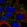 Anti-CDH6 Antibody