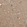 Anti-PNCK Antibody