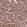 Anti-SGCG Antibody