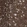 Anti-CRLF3 Antibody