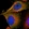 Anti-FER Antibody