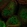 Anti-C3orf52 Antibody