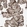 Anti-PRKG1 Antibody