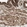 Anti-PRKG1 Antibody