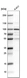 Anti-P3H2 Antibody