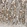 Anti-UBE2Z Antibody