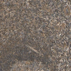 Immunohistochemical staining of human tonsil shows moderate cytoplasmic positivity in non-germinal center cells.