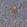 Anti-FGD6 Antibody