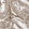 Anti-FGD6 Antibody