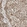 Anti-FKBP15 Antibody