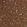 Anti-ANK2 Antibody