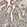 Anti-SFXN3 Antibody