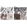 Anti-CALD1 Antibody