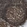 Anti-TMPO Antibody