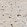 Anti-NPDC1 Antibody