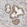 Anti-SEC23B Antibody