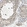 Anti-SEC23B Antibody