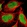 Anti-C1orf174 Antibody