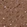Anti-MCCC1 Antibody