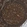 Anti-ARPC2 Antibody
