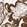 Anti-TDRP Antibody
