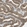 Anti-TDRP Antibody