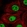 Anti-TBX2 Antibody