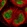 Anti-FOXJ2 Antibody