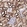 Anti-CA12 Antibody