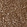 Anti-PARP14 Antibody