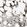 Anti-CCNB2 Antibody