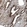 Anti-SOX7 Antibody