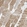 Anti-VAPA Antibody